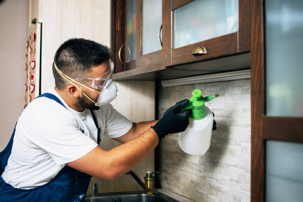 Best Pest Inspection Near Me  in Avilla, AR