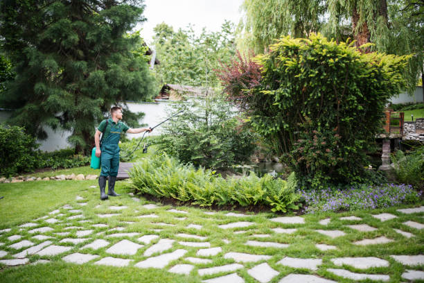 Trusted Avilla, AR Pest Control Experts