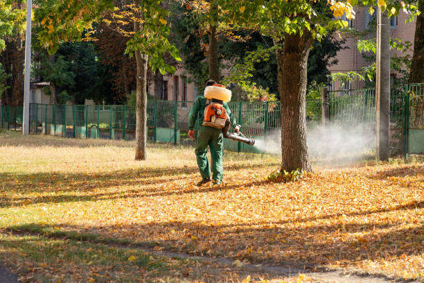Best Mosquito Control Services  in Avilla, AR